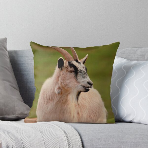 Item preview, Goat designed and sold by prabir.