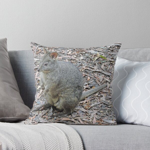 Item preview, Tasmanian Pademelon - Thylogale Billardierii designed and sold by Margaret  Hyde.