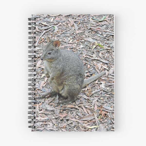 Item preview, Tasmanian Pademelon - Thylogale Billardierii designed and sold by Margaret  Hyde.