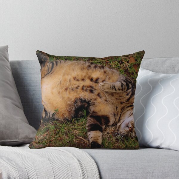 Item preview, Tummy Rub Time designed and sold by SylanPhotos.