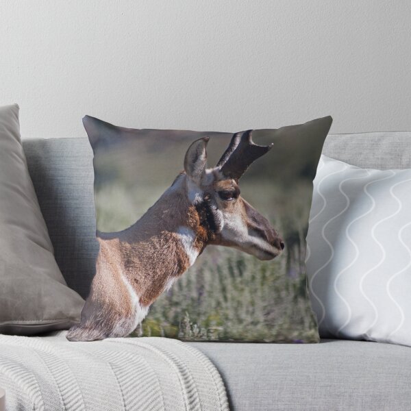 Item preview, Antalope designed and sold by jeff welton.