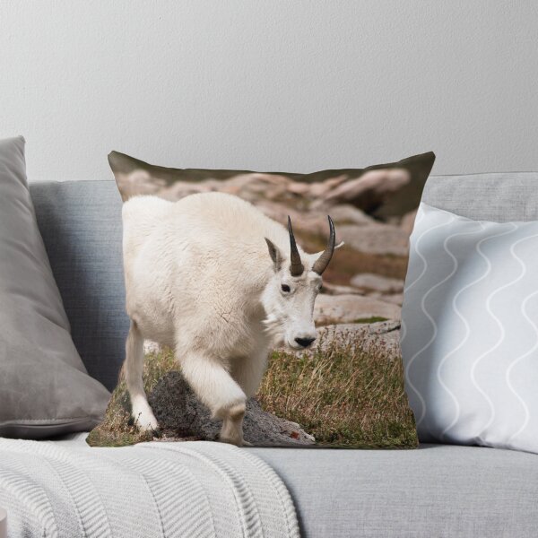 Artikelvorschau, Mountain Goat 1 entworfen und verkauft von jeff welton.