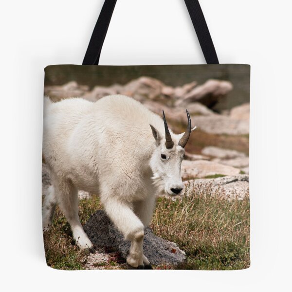 Item preview, Cabra de montaña 1 designed and sold by jeff welton.
