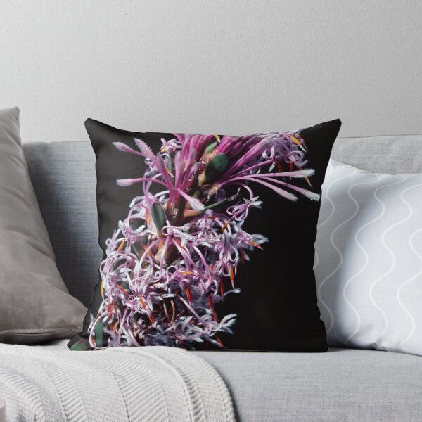 Item preview, Proteaceae – Isopogon or Petrophile Pink white florets nr Denmark Australia 19820828 0043  designed and sold by Fred Mitchell.