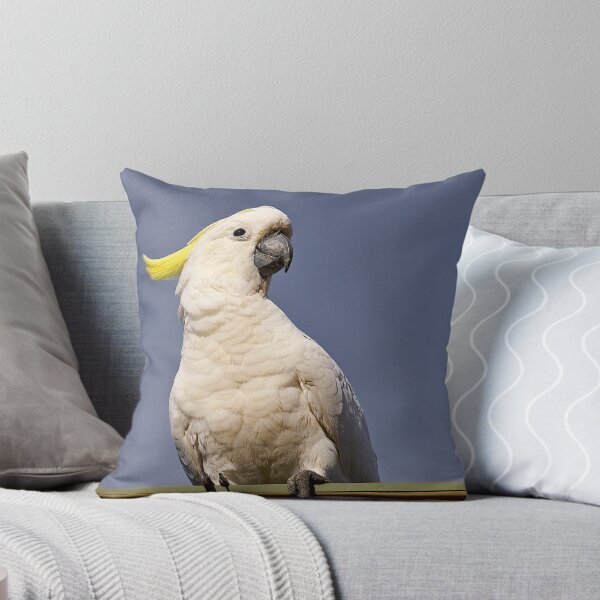 Aperçu de l'œuvre Sulphur Crested Cockatoo #1. Australian native bird. créée et vendue par johnrf.