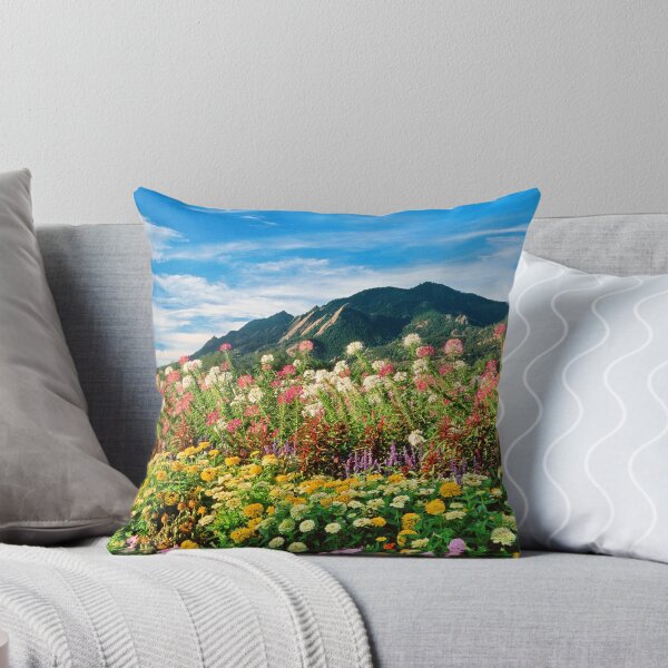 Item preview, Flowers and Flatirons designed and sold by Gregory J Summers.