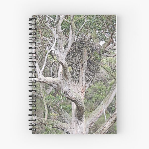 Item preview, White-Bellied Sea-Eagle nest designed and sold by Margaret  Hyde.