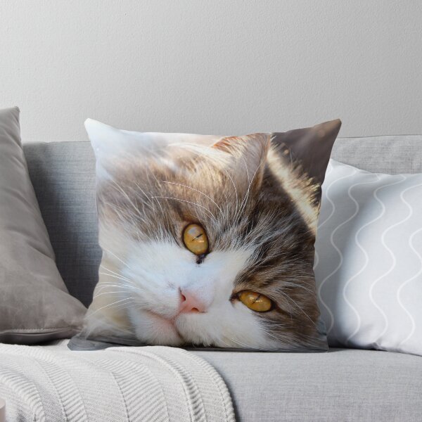 Item preview, Cat Nap designed and sold by Kelse.