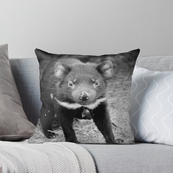Item preview, Tasmanian Devil - juvenile designed and sold by tarnyacox.