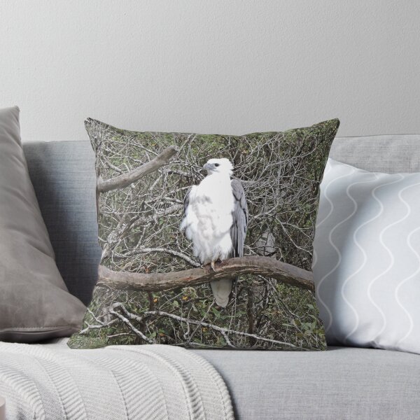 Item preview, White-Bellied Sea-Eagle, Haliaeetus Leucogaster designed and sold by Margaret  Hyde.