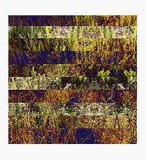 Super Natural No.4 Photographic Print