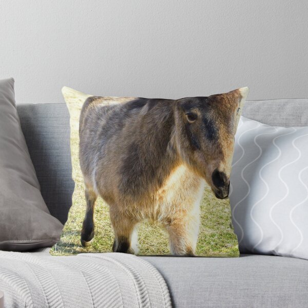Artikelvorschau, Sweet little pony entworfen und verkauft von amontanaview.