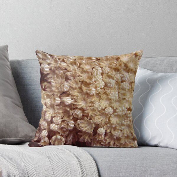 Item preview, Xenia Coral Pulsing designed and sold by SerenaB.