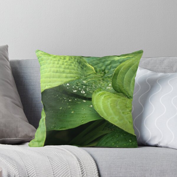 Item preview, spring designed and sold by Paul Kavsak.