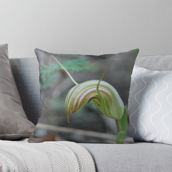 Item preview, Pterostylis sp. (Greenhood orchid) designed and sold by Julie Sherlock.