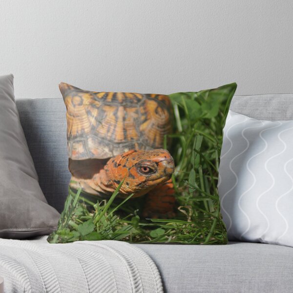 Item preview, Box Turtle designed and sold by pixhunter.