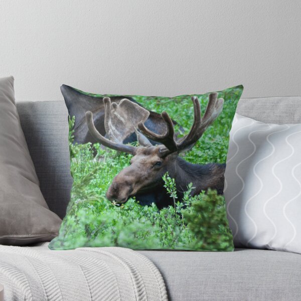Item preview, Bull Moose designed and sold by jeff welton.