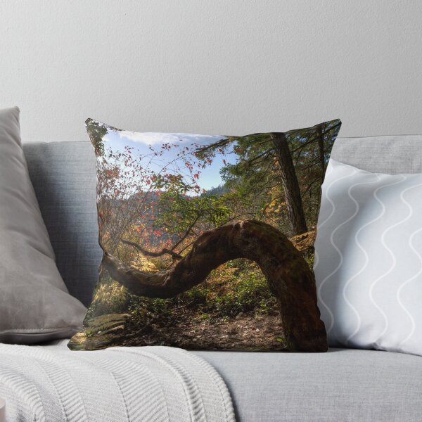Item preview, Reaching for the Star designed and sold by Don Guindon.