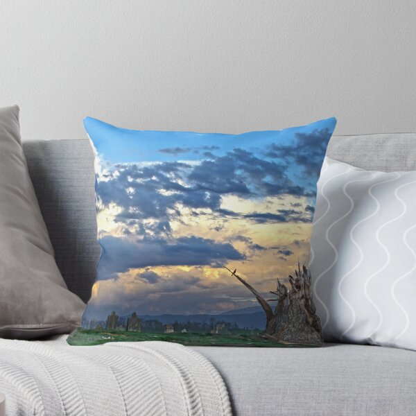 Item preview, After the Tornado designed and sold by susi lawson.