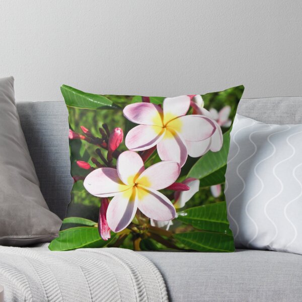 Item preview, frangipane designed and sold by Anne Scantlebury.