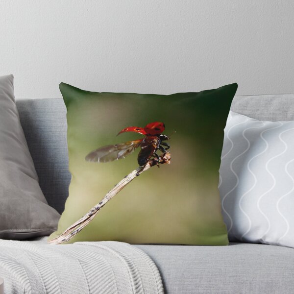 Item preview, The Flight of The Ladybird designed and sold by mudandcustard.