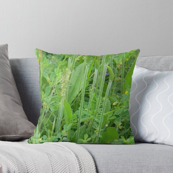 Item preview, Plantain Forest? designed and sold by Navigator.