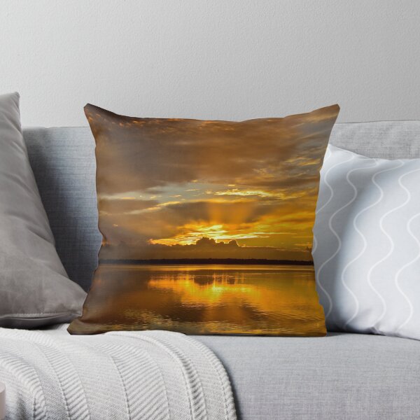 Golden Day. (sunrise ) Throw Pillow
