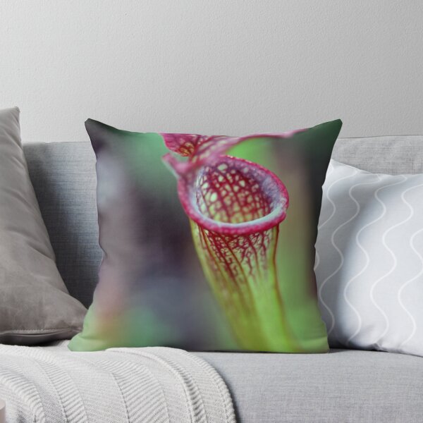 Item preview, Sarracenia x Farnhami designed and sold by ASTRID EWING.