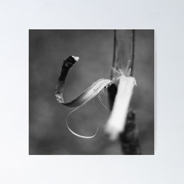 Item preview, twisted. designed and sold by flightlessXbird.