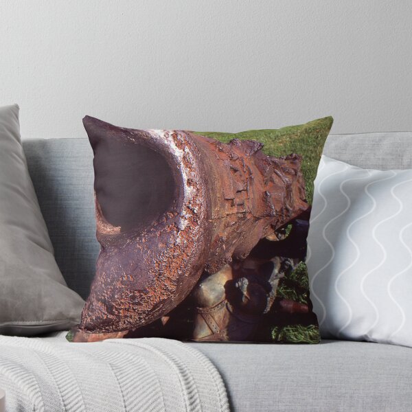 Item preview, Old Cannon at the Park designed and sold by Phil Campus.