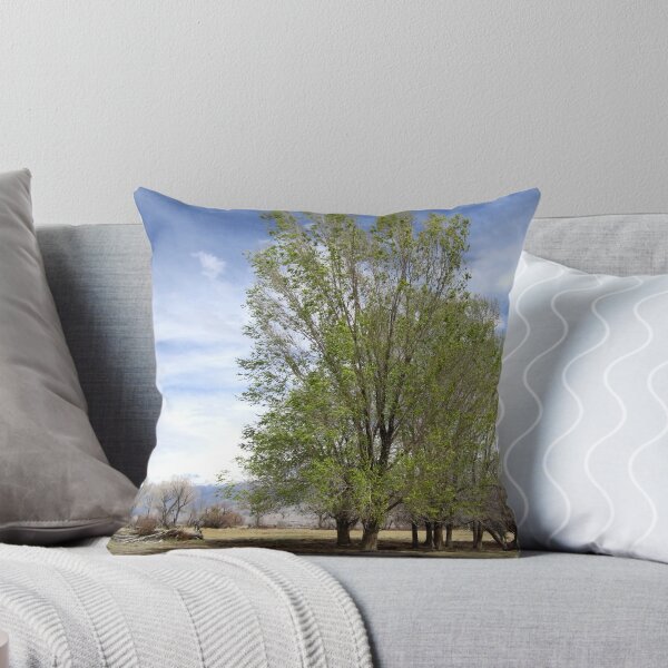 Item preview, New Spring Green designed and sold by MARILYN DIAZ.
