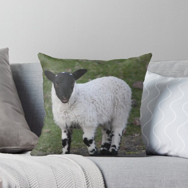 Item preview, laughing lamb designed and sold by graham smith.