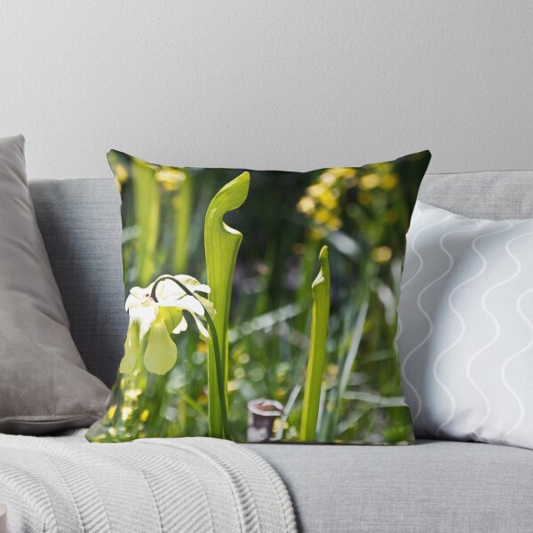 Item preview, Blooming Pitcher Plant designed and sold by freevette.