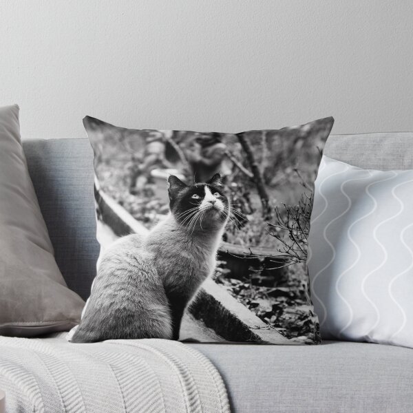 Item preview, Waiting designed and sold by Laura Melis Photography.