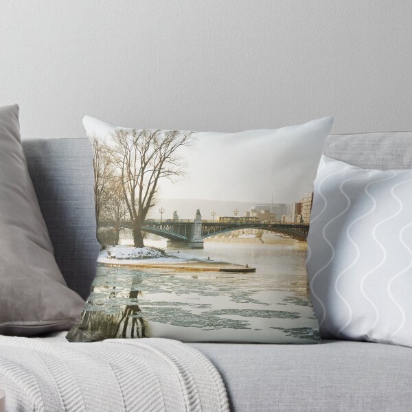 Aperçu de l'œuvre Bridge over frozen waters créée et vendue par Michel Raj.