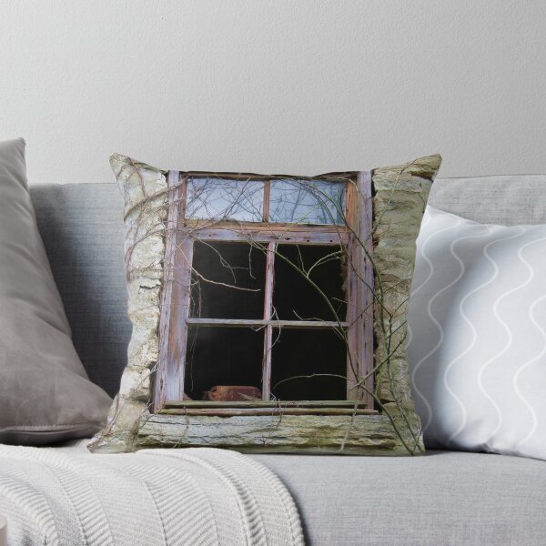Item preview, Barn Basement Window designed and sold by Ron Russell.
