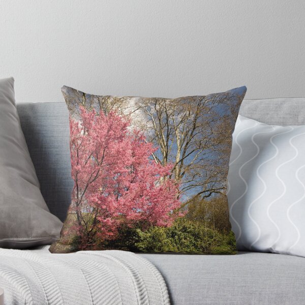 Item preview, Highland Park designed and sold by Jeff Palm Photography.