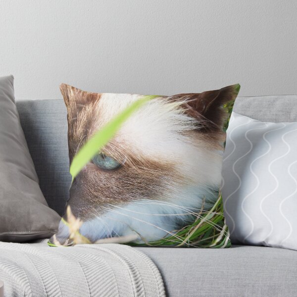 Item preview, Dog Coming? designed and sold by BekJoy.