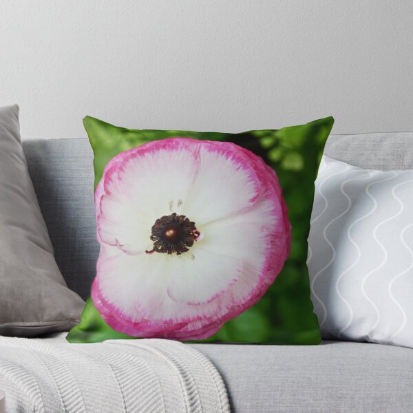 Item preview, Persian buttercup at the Conservatory designed and sold by Kate Farkas.