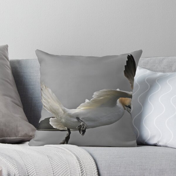 Item preview, Gannet Landing designed and sold by dilouise.