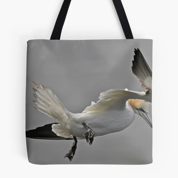 Item preview, Gannet Landing designed and sold by dilouise.