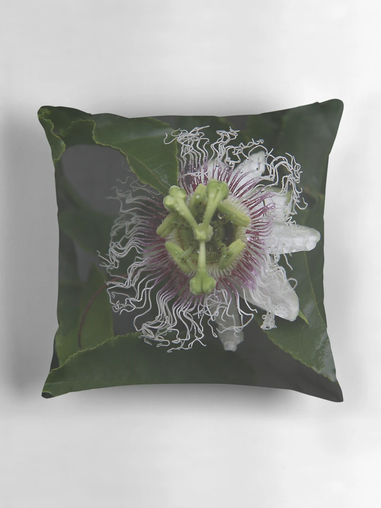 Thumbnail 3 of 4, Pillow, PASSION designed and sold by R-Summers.