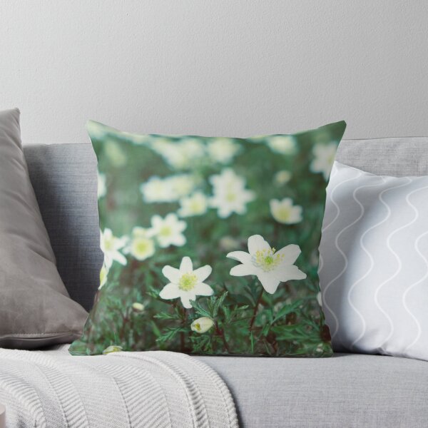 Day 256 - 22nd March 2012 Throw Pillow