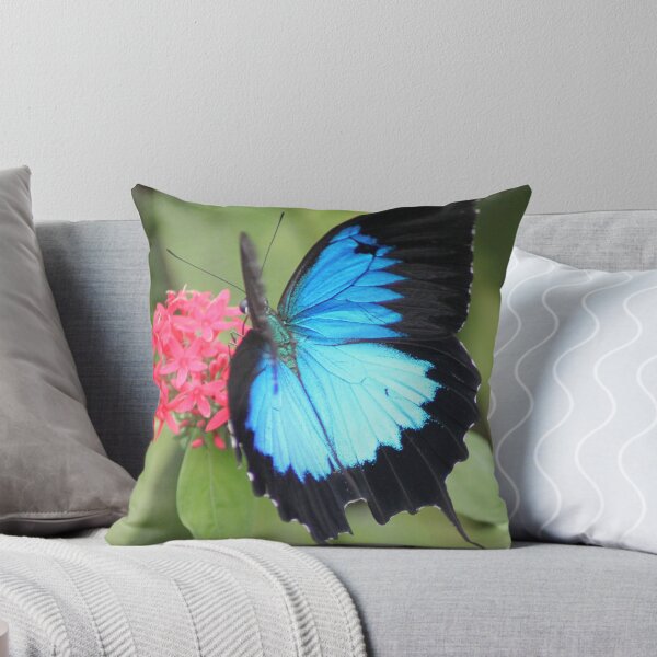 Item preview, beautiful blue designed and sold by robmac.