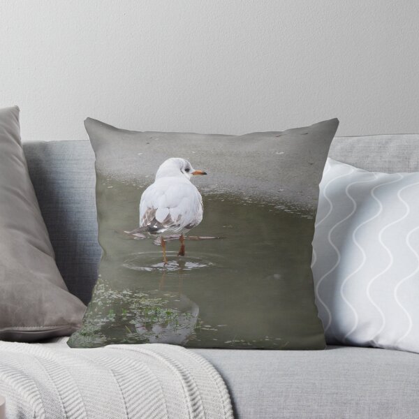 Item preview, Lonely seagull. designed and sold by rasim1.