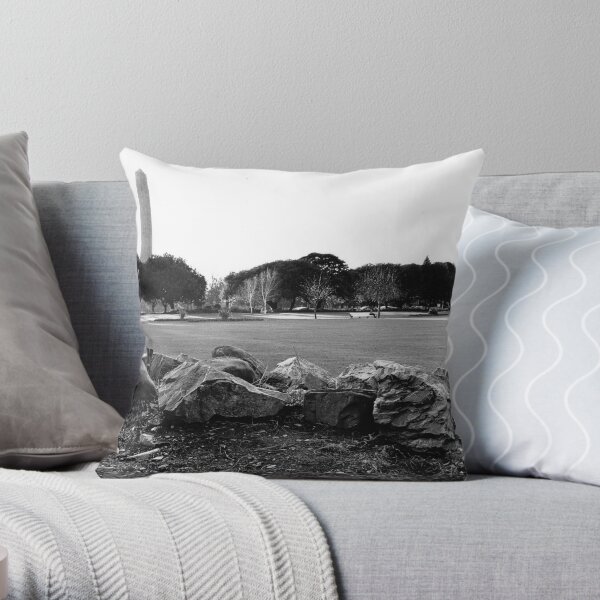 Throw Pillow