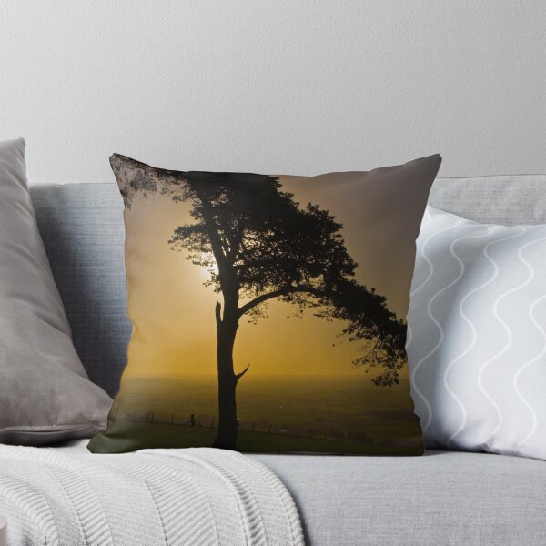 Item preview, Raddon tree and the morning sun designed and sold by Pete Hemington.