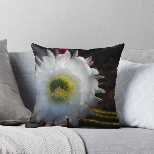 Item preview, Echinopsis candicans designed and sold by Saija  Lehtonen.