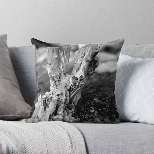 Throw Pillow