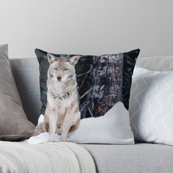 Artikelvorschau, coyote entworfen und verkauft von tomcelroy.